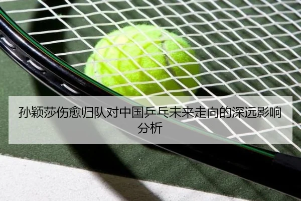 sun-ying-sha-shang-yu-gui-dui-dui-zhong-guo-ping-pang-wei-lai-zou-xiang-de-shen-yuan-ying-xiang-fen-xi-2-344.jpg