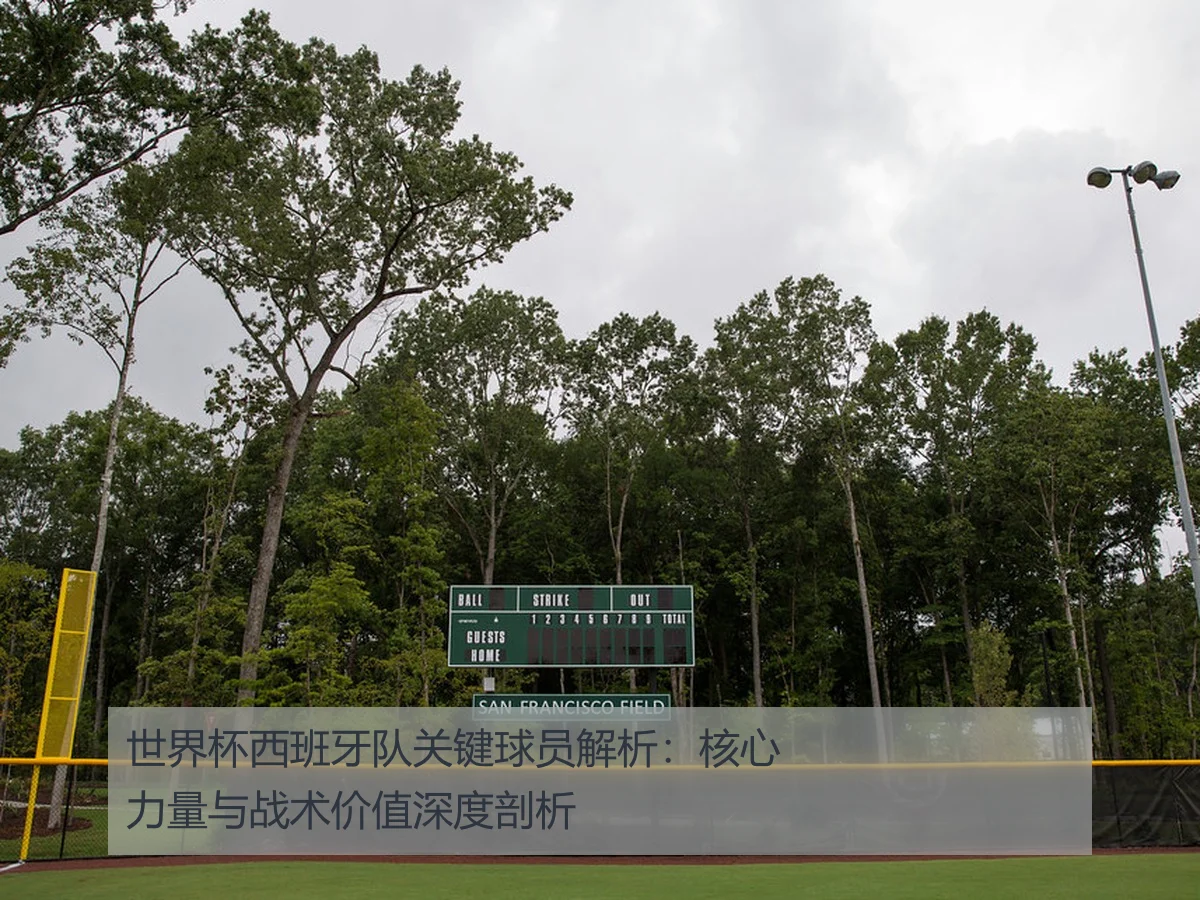 世界杯西班牙队关键球员解析:核心力量与战术价值深度剖析